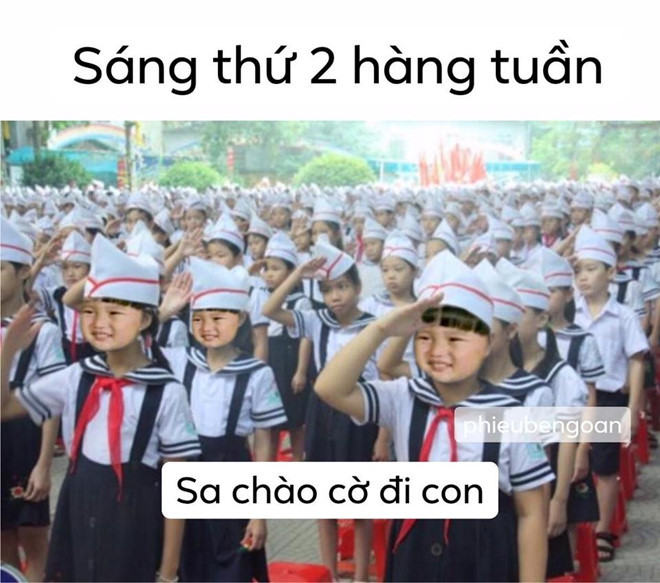 Những biểu cảm dễ thương của bé Sa khiến nhiều người thích thú và sáng tạo ra loạt ảnh chế.