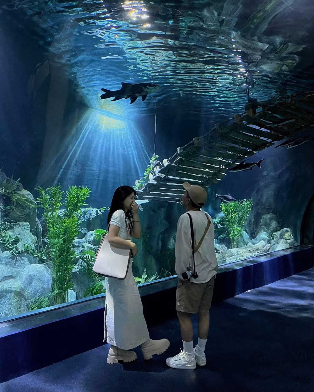 Một lưu ý nhỏ cho các bạn đến check-in đó là không nên bật flash khi chụp ảnh vì thuỷ cung có rất nhiều bể hở, khi tiếp xúc với ánh sáng trực tiếp sẽ không có lợi cho mắt của các bạn cá. Ảnh: Bùi Anh Tiến