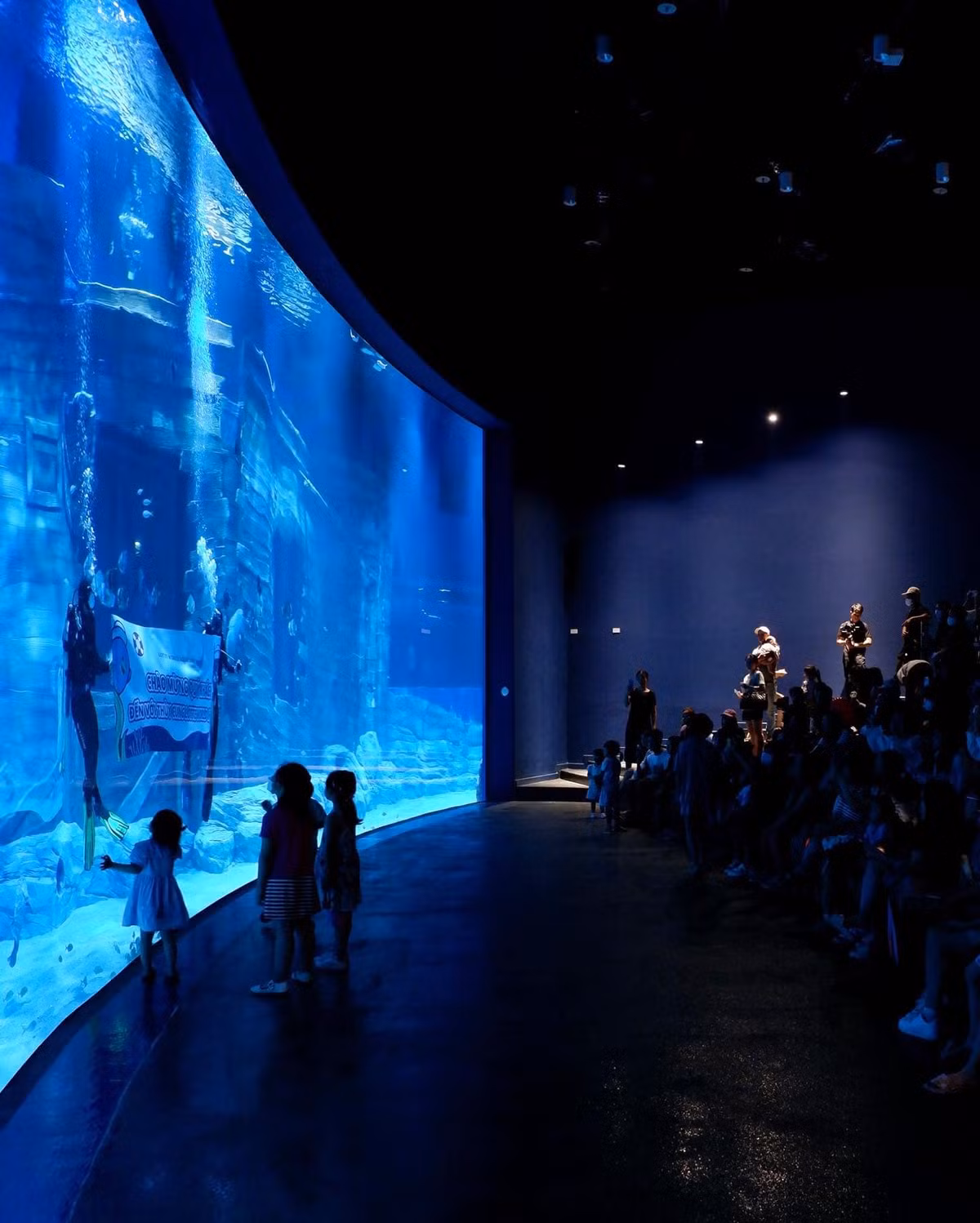 Khách tham quan thuỷ cung mới mở ở Hà Nội này sẽ được chiêm ngưỡng các sinh vật biển thông qua hệ thống bể acrylic cong lớn hàng đầu Đông Nam Á.