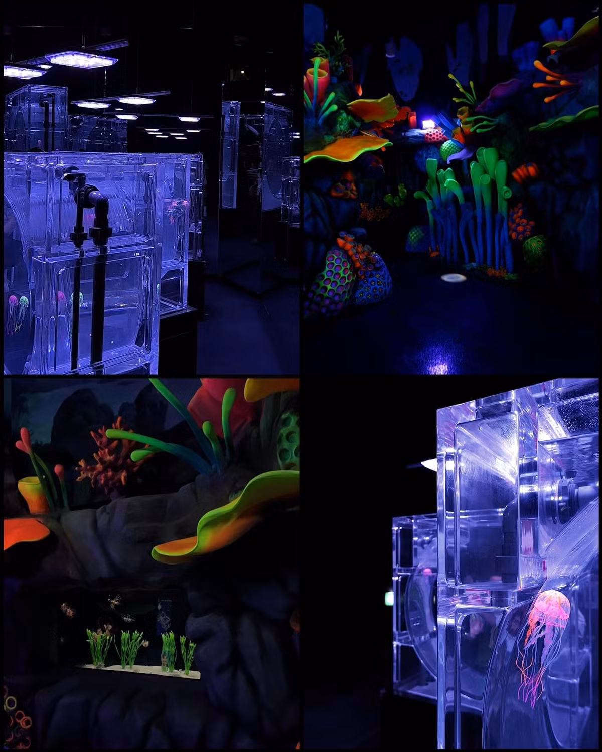 Ngoài ra, thủy cung Lotte hồ Tây còn ấn tượng giới trẻ bởi các góc decor nghệ thuật độc đáo tạo nên một không gian sống động và đắm chìm trong bầu không khí của đại dương.