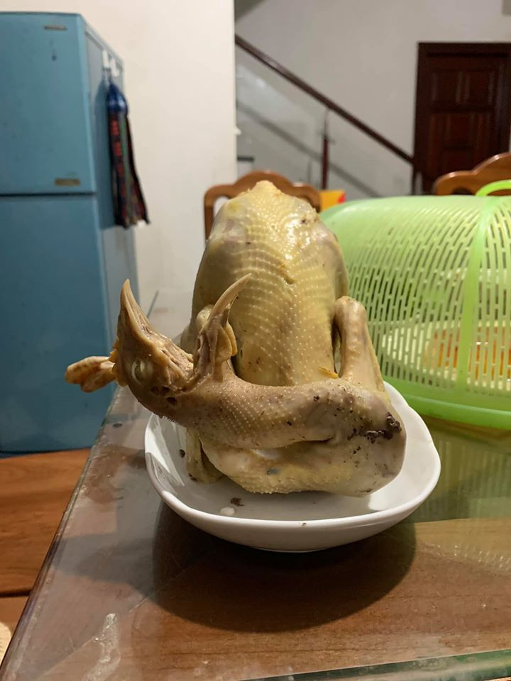 Chú gà phong cách cười cợt này chắc chắn khiến cả gia đình cười bò, không ăn nổi.