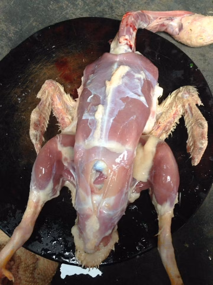 Hiểu được điều đó, nhiều chị em đảm đang rủ nhau vào bếp nhân ngày của mẹ để nấu một bữa ăn ngon miệng, cả gia đình quây quần bên nhau vào dịp đặc biệt này. Thế nhưng, không phải ước muốn nào cũng thành công, bắt tay vào thực hiện nhiệt tình nhưng thấy thành quả lại chỉ muốn khóc thét.