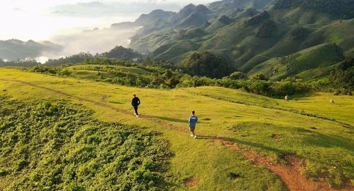 Den Moc Chau trai nghiem san may tren dinh To Bo-Hinh-3