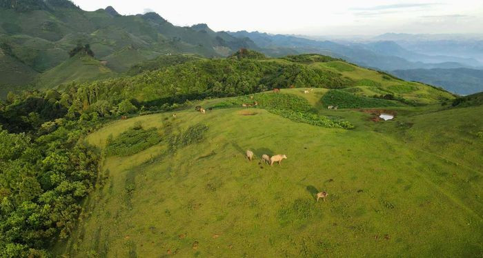 Đến Mộc Châu trải nghiệm săn mây trên đỉnh Tò Bò Den Moc Chau trai nghiem san may tren dinh To Bo