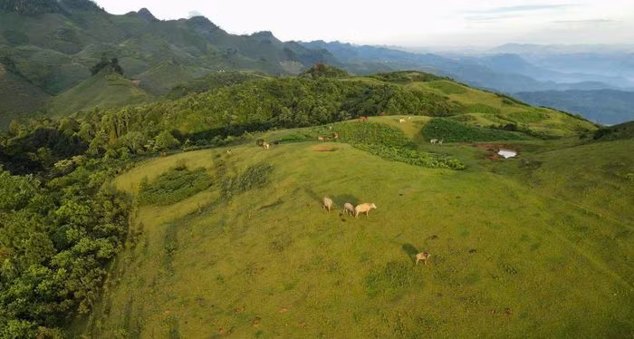 Den Moc Chau trai nghiem san may tren dinh To Bo