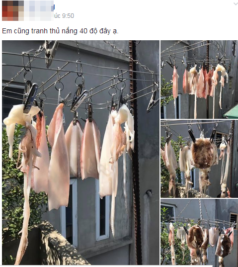 Món mực một nắng tưởng chừng chỉ có ở vùng biển nhưng ngay tại Thủ đô nay cũng có thể thực hiện. Mời quý độc giả xem thêm clip: “Thịt lợn 1 nắng” - sáng kiến của bà nội trợ ngày nắng nóng - Nguồn: Youtube