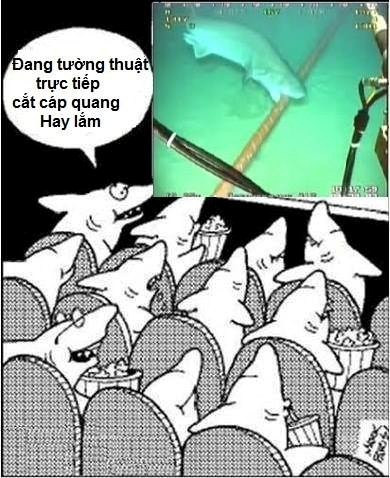  Sợi cáp quang cho phép tốc độ truyền tải dữ liệu cao hơn tới 100 lần so với những sợi cáp đồng truyền thống. Tuy nhiên, loại cáp quang mà Google sử dụng được làm từ những sợi thủy tinh mỏng manh nên nguy cơ bị cá mập cắn đứt là rất cao.