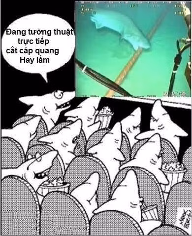  Sợi cáp quang cho phép tốc độ truyền tải dữ liệu cao hơn tới 100 lần so với những sợi cáp đồng truyền thống. Tuy nhiên, loại cáp quang mà Google sử dụng được làm từ những sợi thủy tinh mỏng manh nên nguy cơ bị cá mập cắn đứt là rất cao.