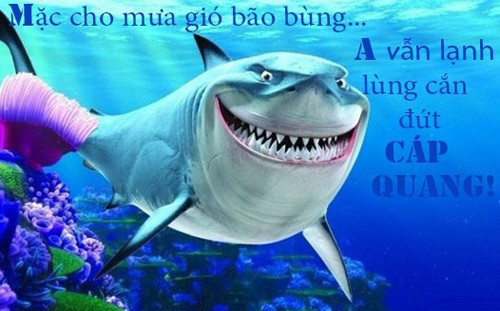 Không những chế ảnh cá mập cắn đứt cáp quang, cư dân mạng còn đặt thêm những vần thơ cho bức ảnh này. "Mặc dù mưa gió bão bùng, anh vẫn lạnh lùng cắn cáp".