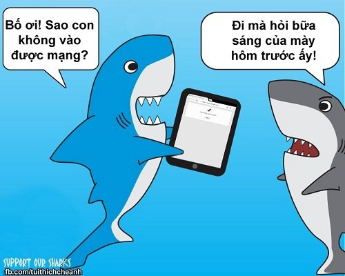  Ngày 5/01/2015 vừa qua, tuyến cáp viễn thông của Việt Nam đi quốc tế một lần nữa bị đứt và nhiều người cho rằng thủ phạm là cá mập. Gần như ngay lập tức rất nhiều bức ảnh chế về nghi phạm số 1 này.