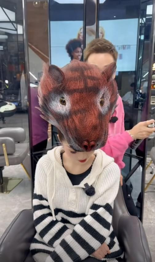 Một tiệm làm tóc ở Trung Quốc đã đăng tải lên những hình ảnh tạo kiểu tóc độc lạ của salon này. Các mái tóc được lấy cảm hứng từ 12 con giáp, hình dạng kỳ quái.