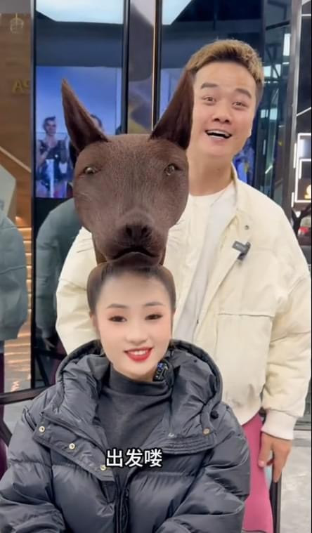 Nhiều người còn bình luận: "Liệu cho 100 triệu có ai dám mang những kiểu tóc này ra đường hay không, 10 điểm ý tưởng nhưng 0 điểm thực tế".