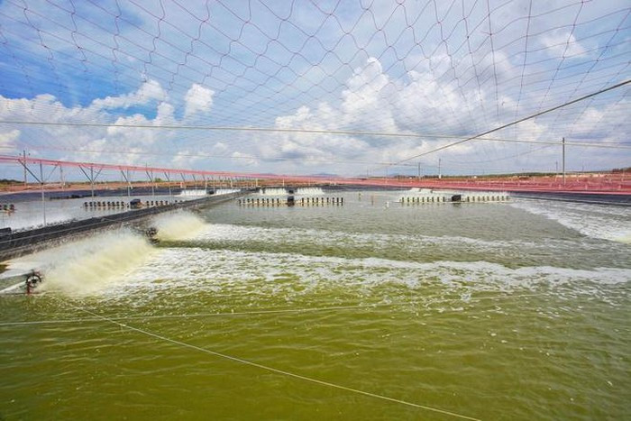 Gia dinh ba Chu Thi Binh sap nhan gan 160 ty dong tien mat