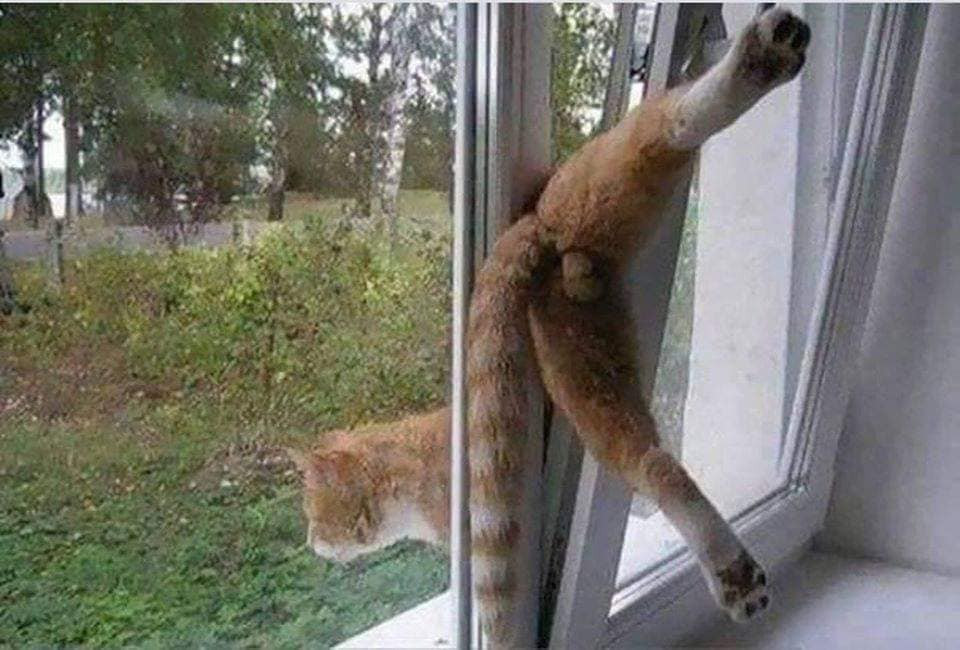 "Người đi một nửa hồn tôi mất".