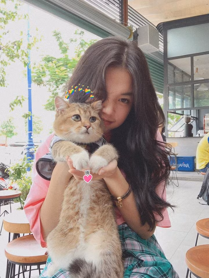 Mỗi chú mèo của Linh Ngọc Đàm đều có giá cực đắt đỏ, lên tới hàng chục triệu đồng.