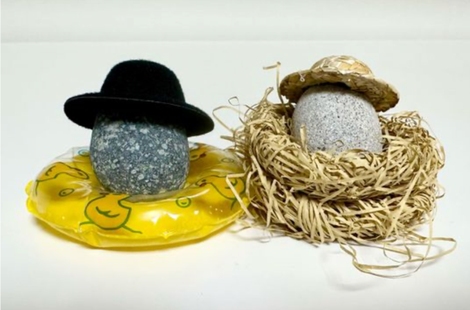 Làm cả phao bơi hay tổ, thậm chí đội cả mũ cho đá thú cưng.