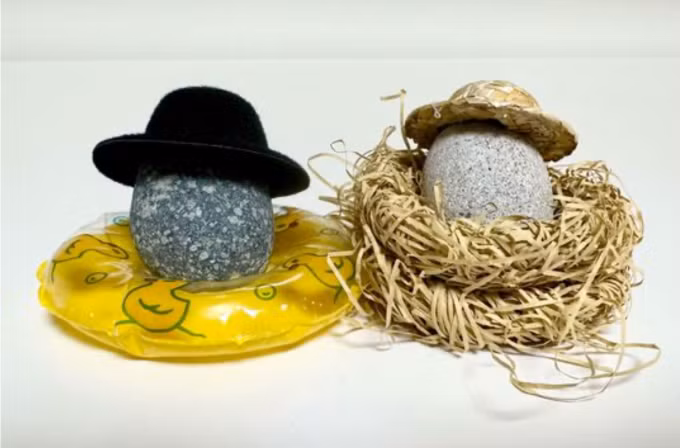 Làm cả phao bơi hay tổ, thậm chí đội cả mũ cho đá thú cưng.