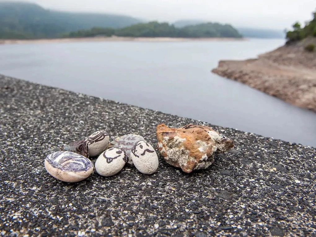 Đá thú cưng có nhiều mục đích khác nhau tùy thuộc vào người sở hữu chúng. Có người sở hữu chúng để ngắm nhìn, bình ổn lại tâm trạng, có người lại xem chúng như những người bạn để tâm sự, giãi bày.