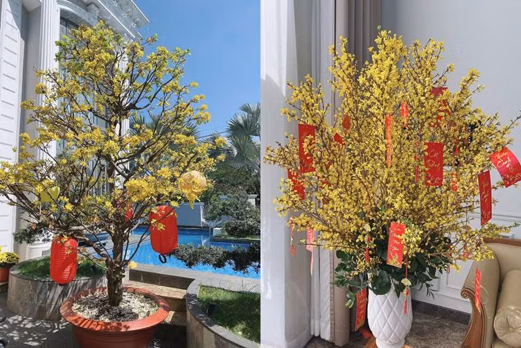 Cuoc song 'nhu ba hoang' cua Bao Thy voi chong doanh nhan-Hinh-11