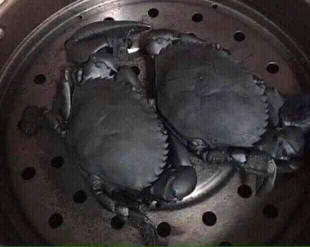 Cua này chắc hóa than luôn rồi