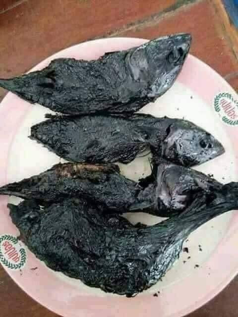 Cận cạnh nồi cá kho, hay cá rán gì đấy không còn rõ hình dạng