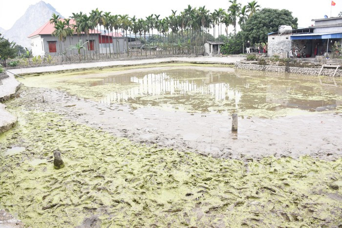 Nhung hinh anh ngay dau tien khai quat bai coc tai Dam Thuong