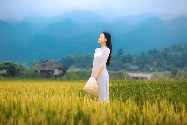 Trong bộ ảnh, Thảo Vi gây ấn tượng bởi nhan sắc trong trẻo, dịu dàng. Mái tóc đen nhánh cùng tà áo dài trắng nổi bật lên giữa khung cảnh đồng ruộng và núi non.