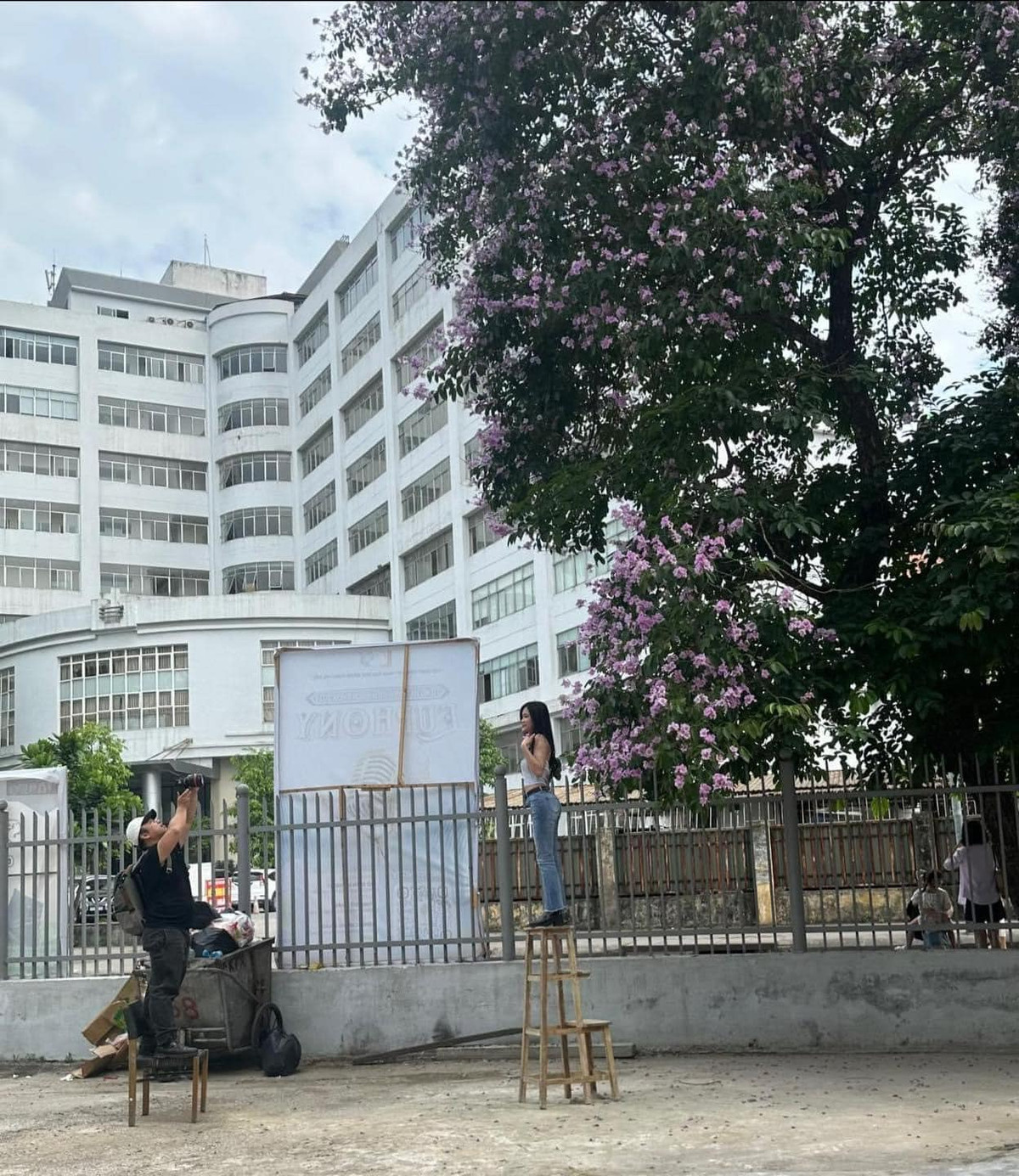 Bí quyết để bắt được những khoảng khắc đẹp nhất với bằng lăng là đây.