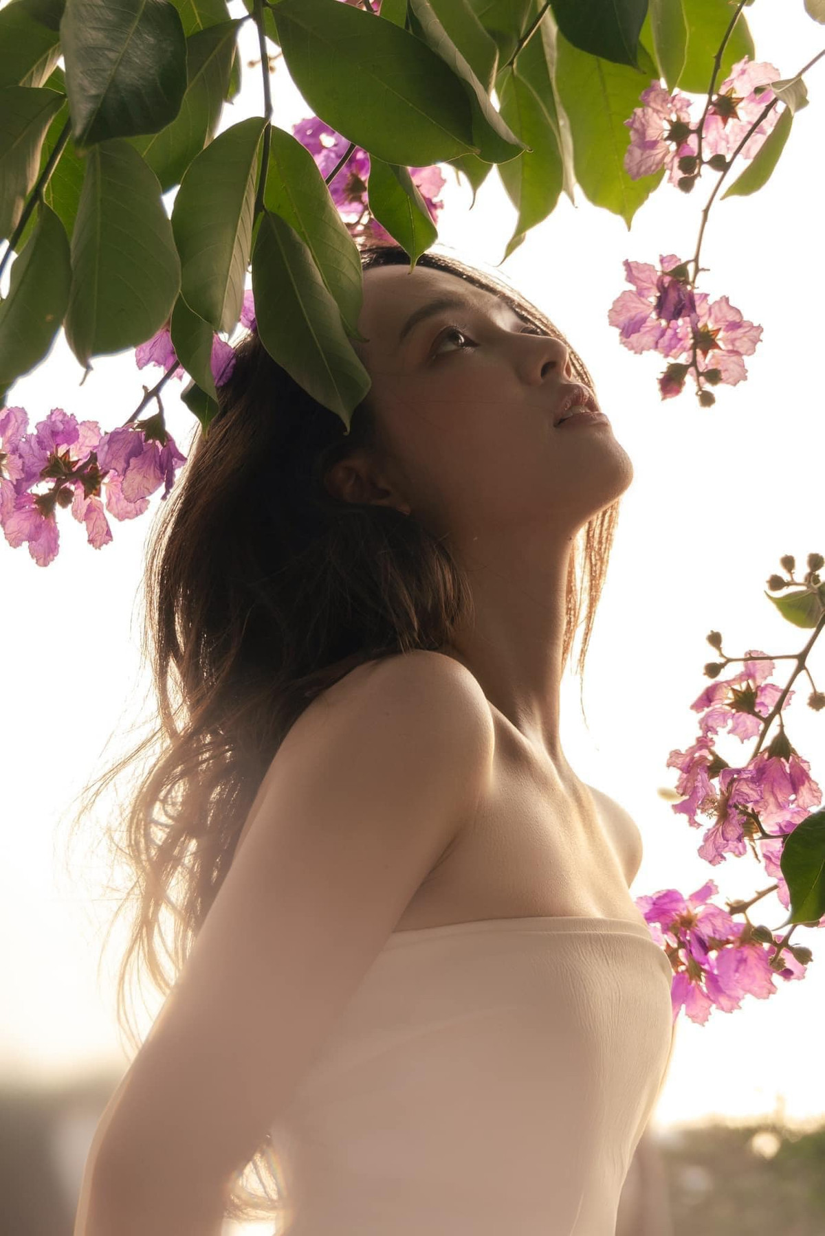 Loạt ảnh hướng dẫn pose dáng, hay lấy góc chụp với bằng lăng thế nào cho đẹp cũng được nhiều người tương tác rất nhiều. Bên cạnh những bộ ảnh nàng thơ thì cũng có những sản phẩm chụp cùng bằng lăng đầy ấn tượng độc lạ.