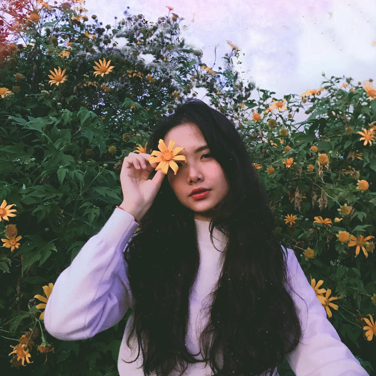 Ngay lập tức, thông tin cá nhân của hot girl trên đã được tìm ra. Cô nàng sinh năm 2001, hiện đang theo học tại trường Đại học Văn Lang, TP HCM.