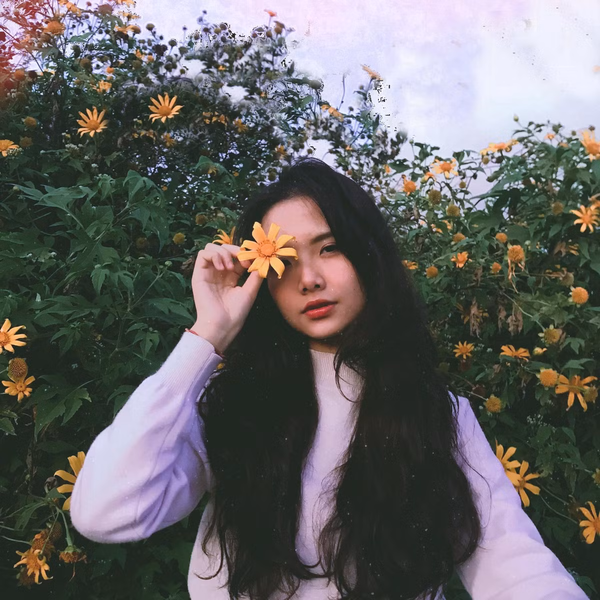 Ngay lập tức, thông tin cá nhân của hot girl trên đã được tìm ra. Cô nàng sinh năm 2001, hiện đang theo học tại trường Đại học Văn Lang, TP HCM.