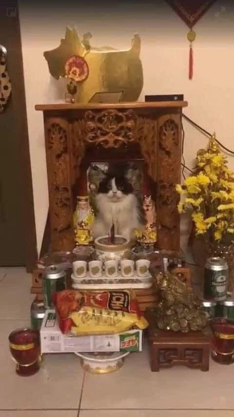 Nếu không nhìn kỹ sẽ không thấy được ban thờ hôm nay có gì là lạ...