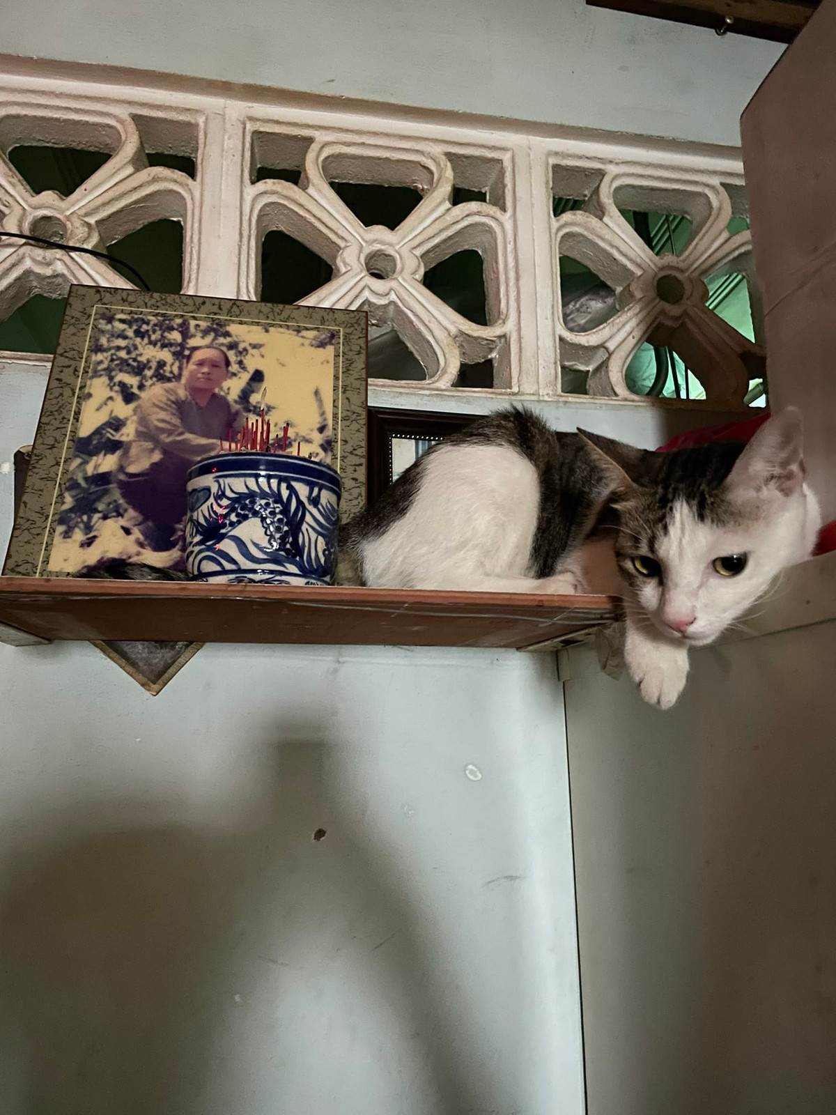 Chỗ chill ưa thích...