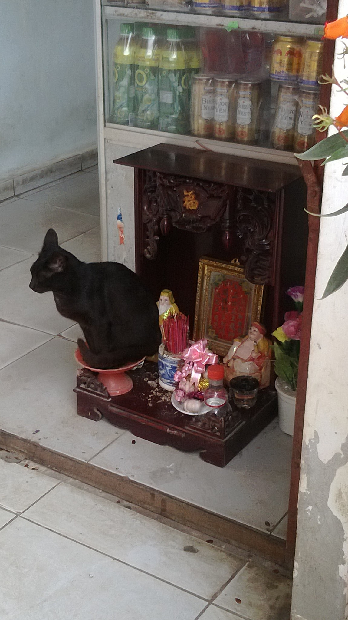 Nhìn thế này thì gia chủ chỉ có bất lực mà thôi.