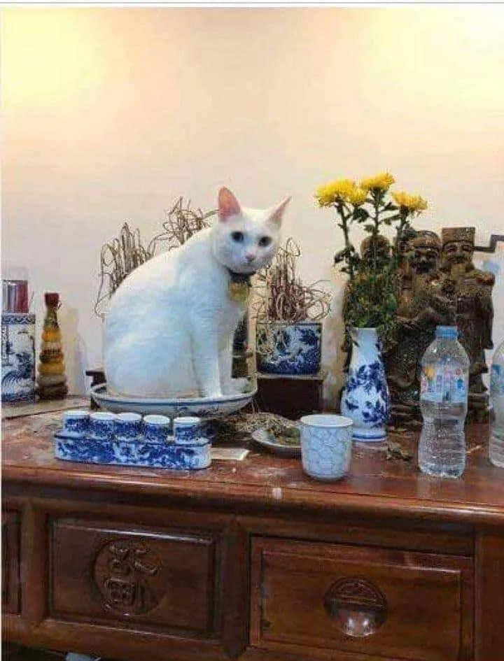 Mâm ngũ quả hôm nay hơi lạ.