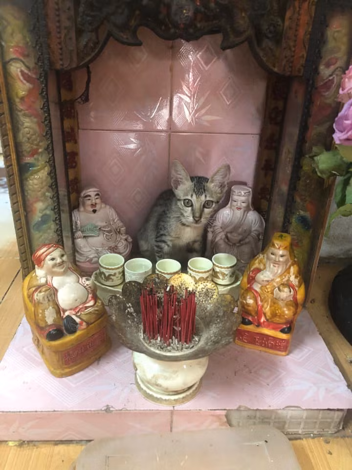 Ban thờ thần tài hôm nay có thêm ông thần nào lạ lạ...