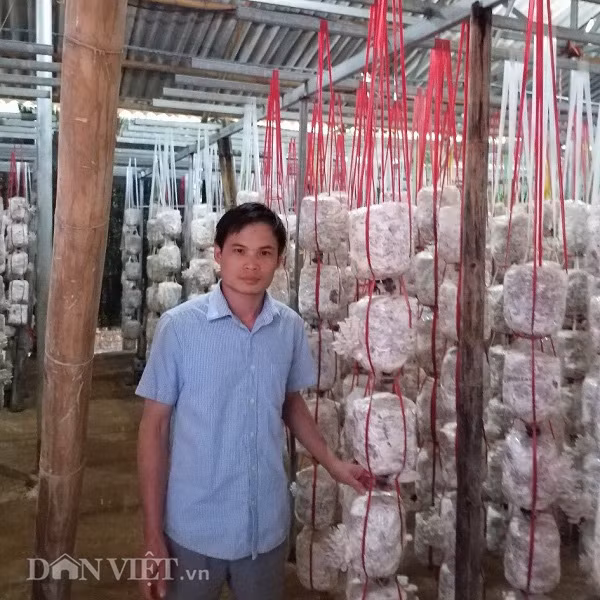 Son La: Thu gan 10 trieu dong moi ngay tu trong cay nhin nhu nhu da-Hinh-5