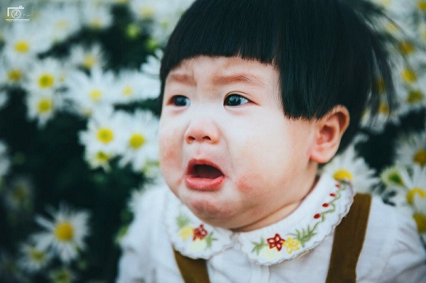 Nhưng các mẹ yêu kiều tạo dáng bên cúc cũng xưa rồi nha, trend mùa cúc hoạ mi năm nay là phải mếu máo, gào khóc thì mới chuẩn.