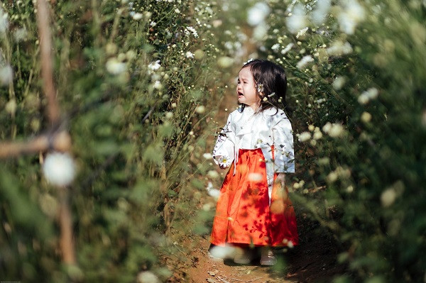 "Những bức ảnh này mình nhìn thì thấy rất hài hước những sẽ là những kỷ niệm cực kỳ quý giá. Sau này các em lớn lên, nhìn những bức ảnh mình khóc nhè trong một vườn hoa chắc chắn sẽ vui hơn cười tươi nhìn thẳng vào ống kính và tạo dáng đúng không?" - Người dùng có tên T.R thích thú bình luận.