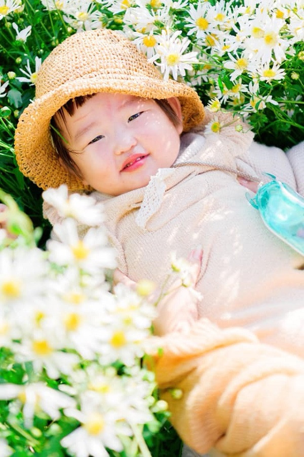 Tuy nhiên, năm nay, hình ảnh các mẫu nhí trong vườn cúc hoạ mi mới được dân mạng yêu thích.