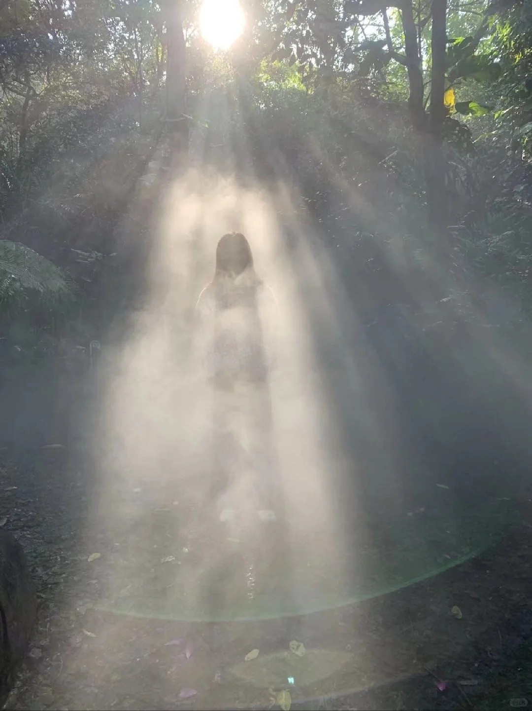 Căn ánh sáng thế này hẳn là nhiếp ảnh gia "đại tài" rồi.