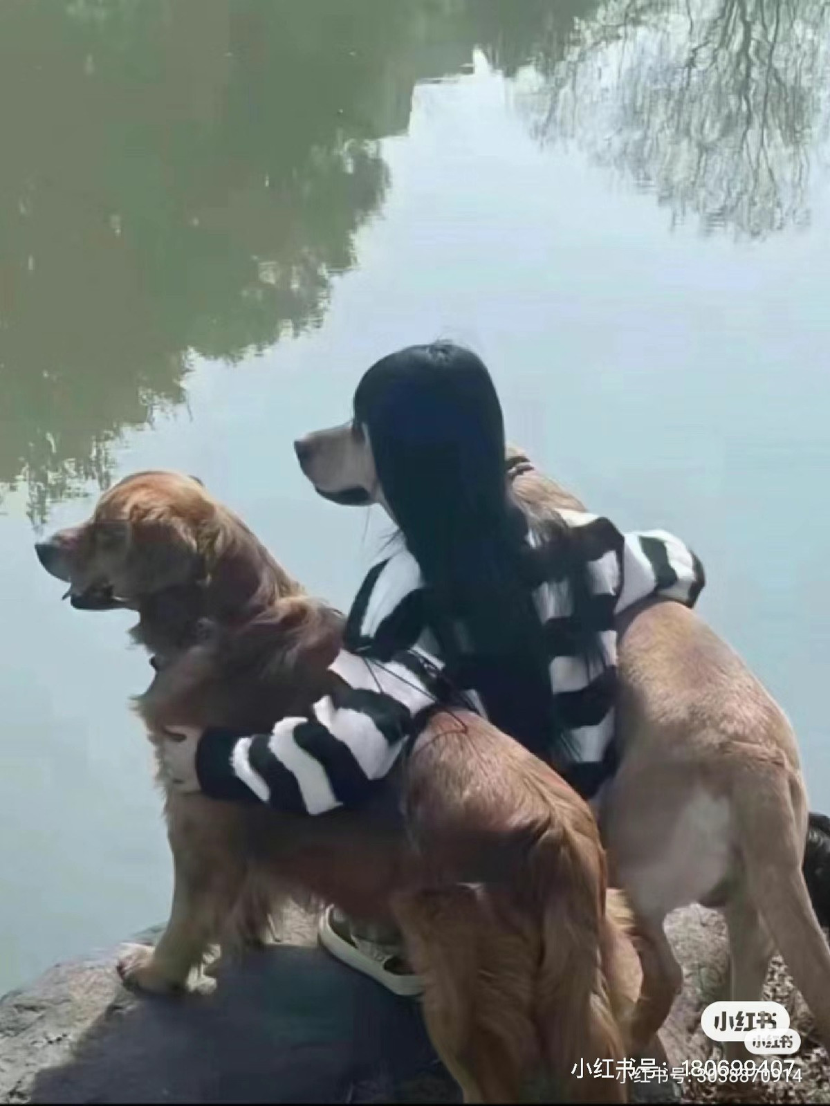 Tấm ảnh cực kỳ gây lú, nếu không nhìn kĩ sẽ không thấy cô bạn gái đang ngồi giữa 2 chú cún.