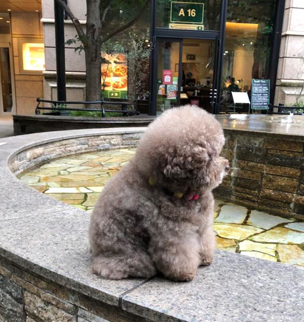 Dù ở đâu, bất cứ thời điểm nào, Kokoro cũng có dáng ngồi như đang kiểu trầm ngâm, suy tư.