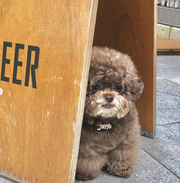 Hiện tại, Kokoro đang sở hữu trang Instagram riêng với hơn 98 nghìn lượt theo dõi.