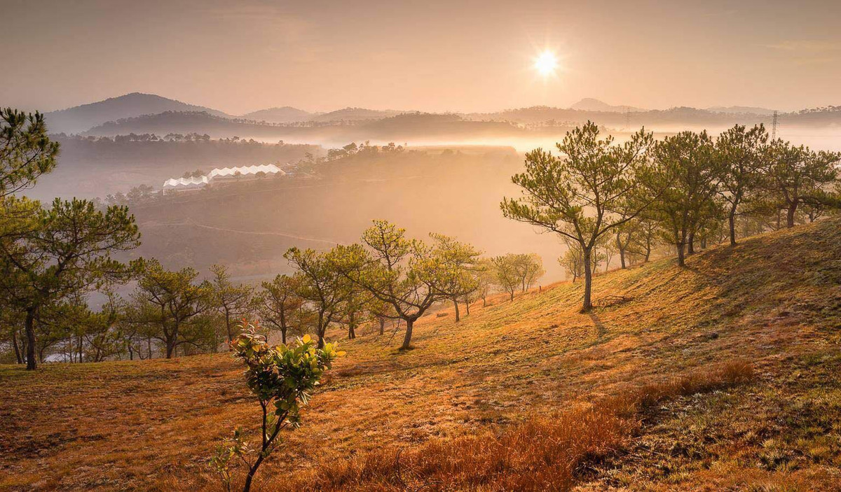 Cỏ hồng bắt đầu xuất hiện từ tháng 11 và tàn rất nhanh, để khoảng cuối tháng 12 là bắt đầu tàn dần. Chính bởi vậy nếu yêu Đà Lạn và muốn có những bộ ảnh đẹp như mơ thì hãy xách balo lên và đi ngay trước khi khung cảnh đẹp như tranh này biến mất.