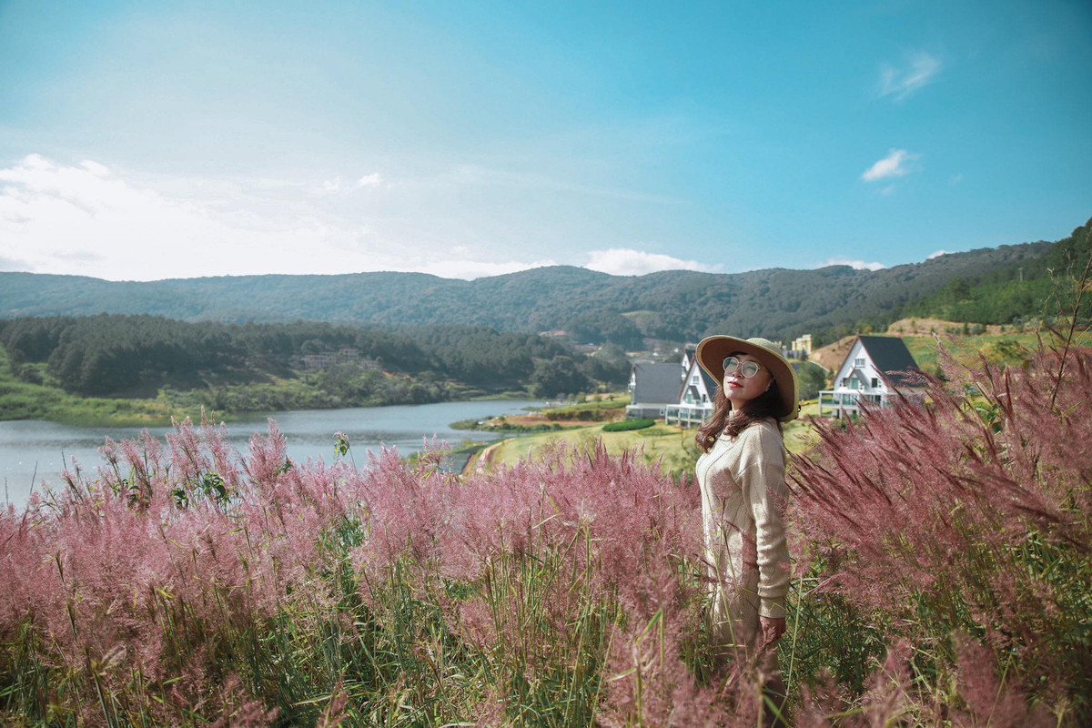 Cỏ hồng xuất hiện nhiều nơi ở Đà Lạt nhưng có hai địa điểm đẹp và rộng rãi nhất là khu vực thung lũng vàng và đồi cỏ khu vực cây cô đơn. Tuy nhiên đường đến đồi cỏ khu cây cô đơn hơi khó tìm, bù lại khung cảnh tại đây hoang sơ và mộng mơ cực kỳ.