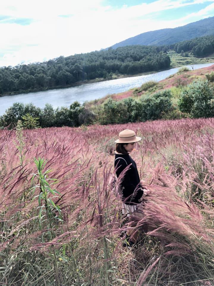 Thành phố Đà Lạt vào mùa cỏ hồng khiến người ta liên tưởng tới khung cảnh của những bộ phim hoạt hình nhật bản với trời xanh cao vúi, bên dưới là những đồi cỏ hoa hồng mênh mông vô tận.