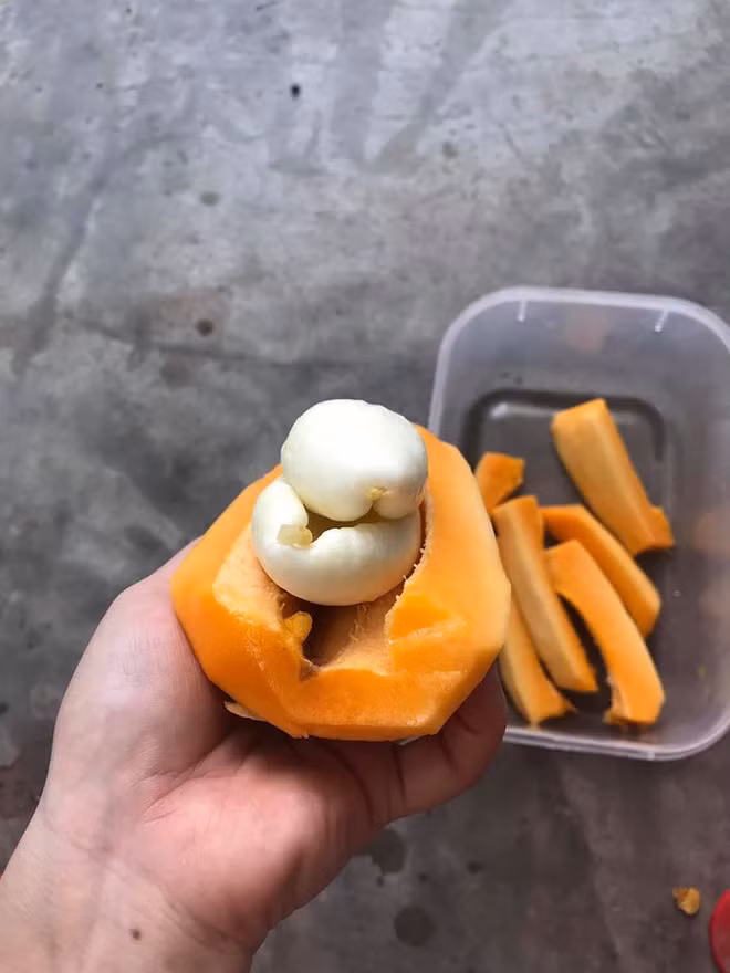 Khác lạ ở quá trình phát triển chưa đủ, đến khi quả chín và hái ăn những quả đu đủ này còn khiến nhiều người cảm thấy khó hiểu khi bổ ra.