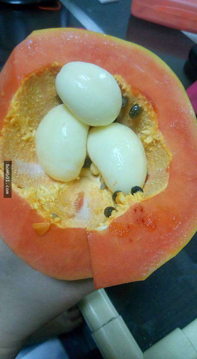 Đây chỉ là sự phát triển bất thường của phôi mầm đu đủ, không ảnh hưởng đến giá trị dinh dưỡng của quả.