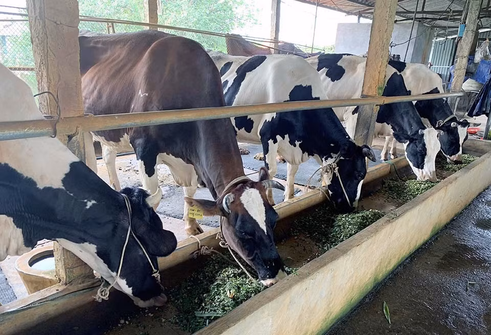 Moi nam chia nhau gan 6.000 ty dong, lang ty phu hiem co Viet Nam-Hinh-3